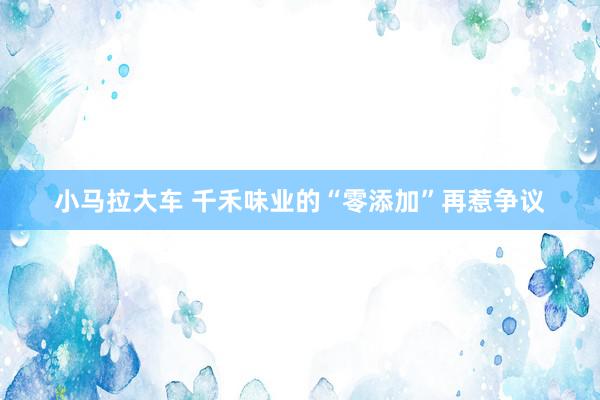 小马拉大车 千禾味业的“零添加”再惹争议