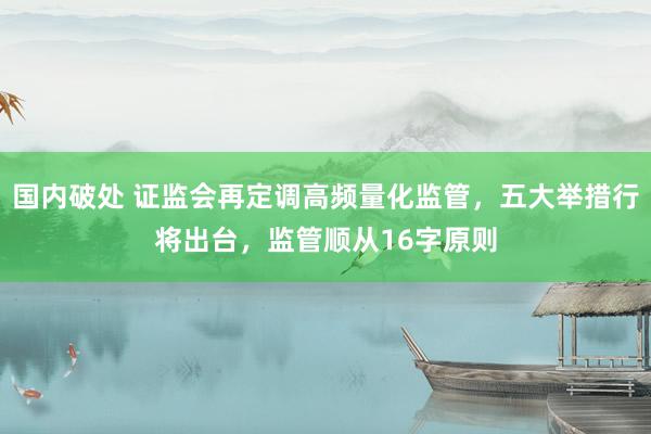国内破处 证监会再定调高频量化监管，五大举措行将出台，监管顺从16字原则