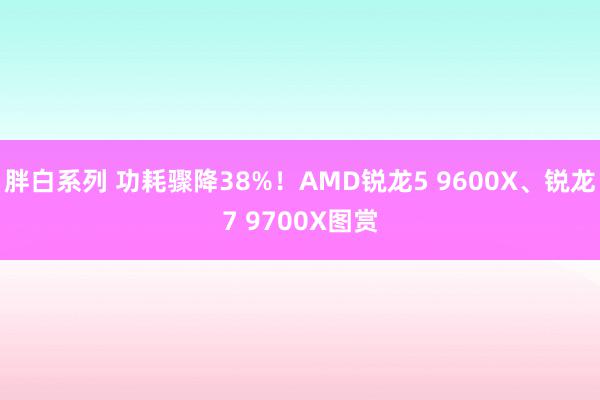 胖白系列 功耗骤降38%！AMD锐龙5 9600X、锐龙7 9700X图赏