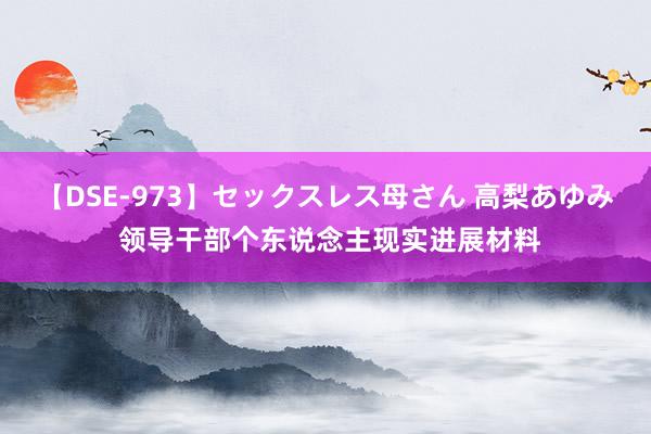 【DSE-973】セックスレス母さん 高梨あゆみ 领导干部个东说念主现实进展材料