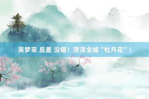吴梦菲 反差 没错！菏泽全城“牡丹花”！