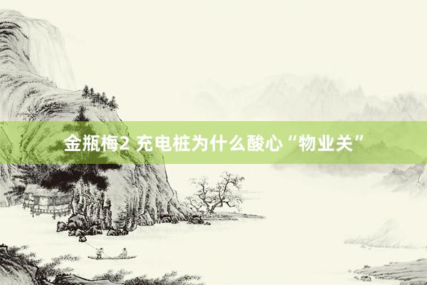 金瓶梅2 充电桩为什么酸心“物业关”