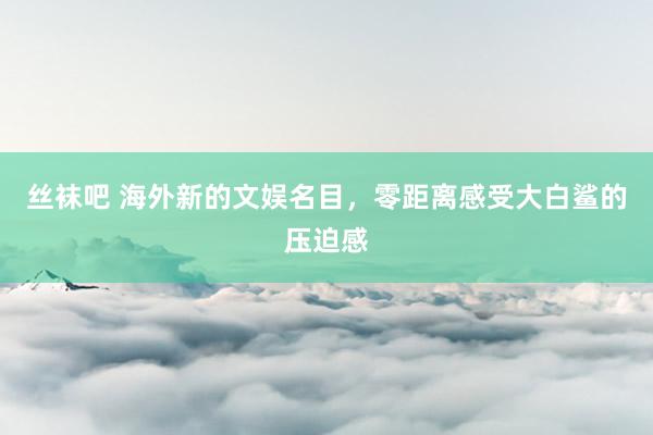 丝袜吧 海外新的文娱名目，零距离感受大白鲨的压迫感