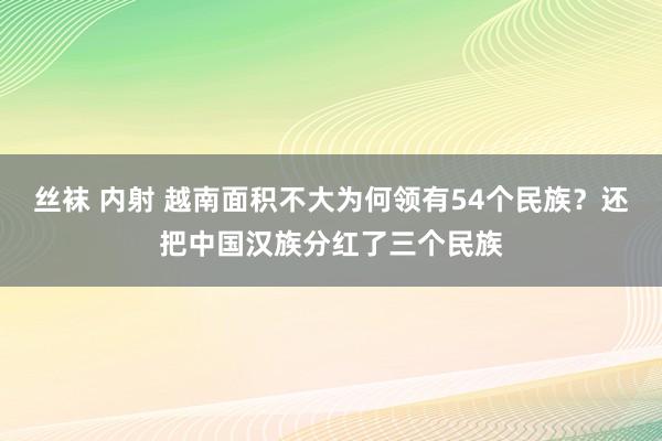 丝袜 内射 越南面积不大为何领有54个民族？还把中国汉族分红了三个民族