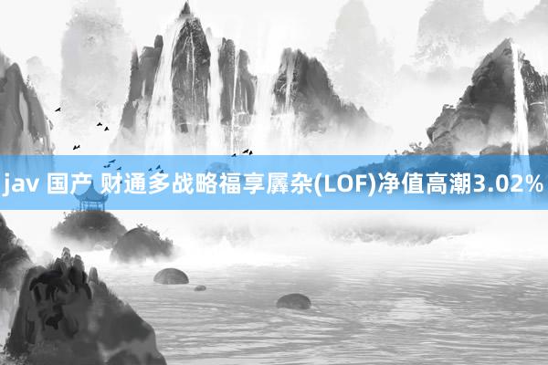 jav 国产 财通多战略福享羼杂(LOF)净值高潮3.02%