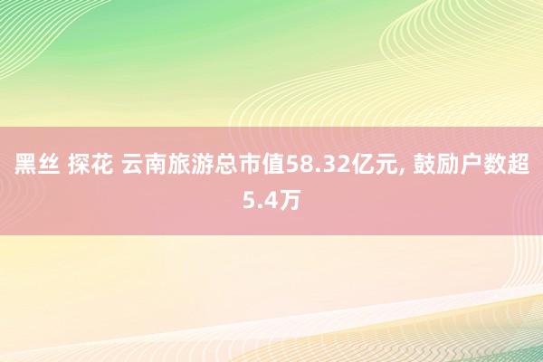 黑丝 探花 云南旅游总市值58.32亿元, 鼓励户数超5.4万