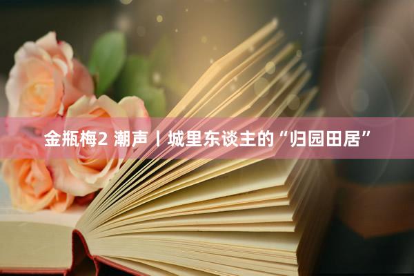 金瓶梅2 潮声丨城里东谈主的“归园田居”