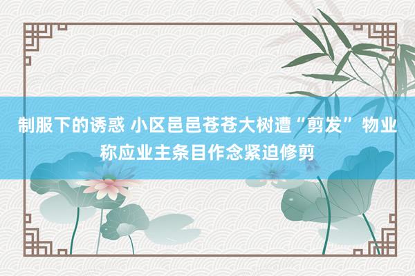 制服下的诱惑 小区邑邑苍苍大树遭“剪发” 物业称应业主条目作念紧迫修剪