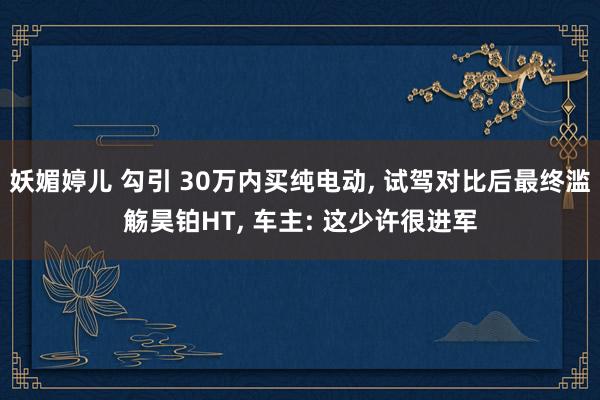 妖媚婷儿 勾引 30万内买纯电动, 试驾对比后最终滥觞昊铂HT, 车主: 这少许很进军