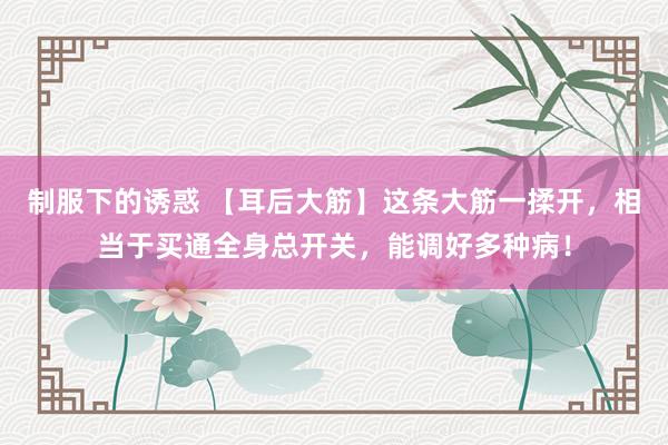 制服下的诱惑 【耳后大筋】这条大筋一揉开，相当于买通全身总开关，能调好多种病！